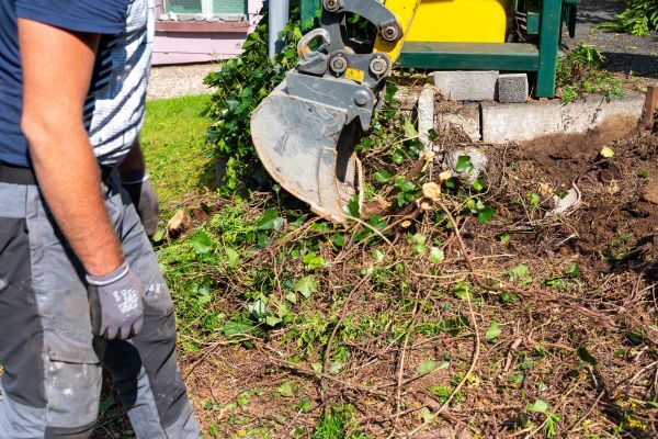 Hedge Removal Service in Layton