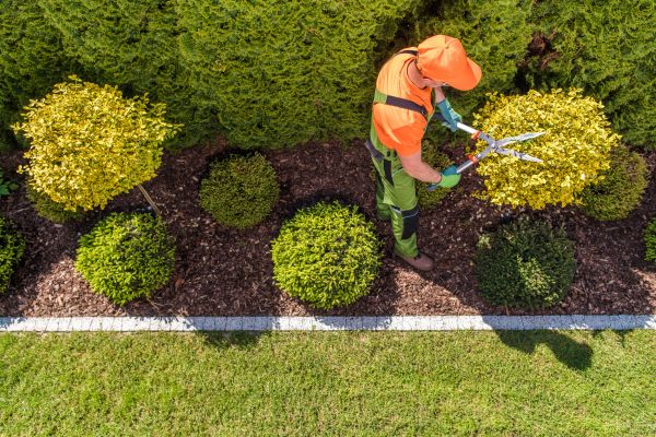 Cost of Topiary Trimming in Layton