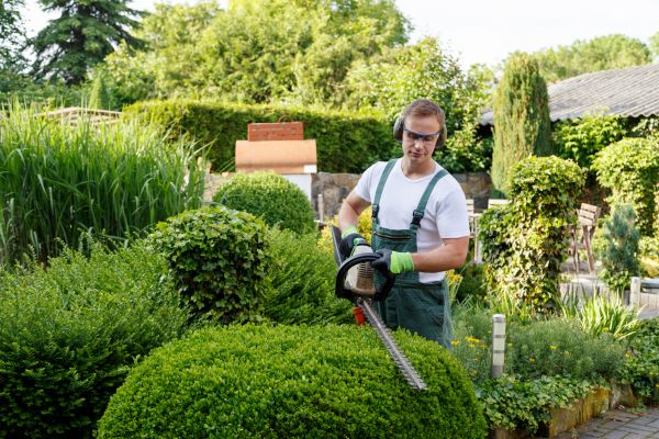 Shrubs Trimming in Layton