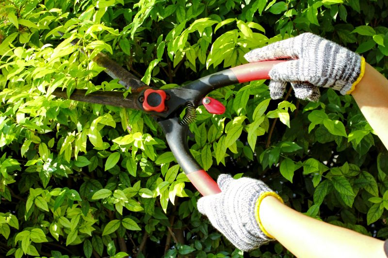 Hedge Shearing